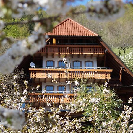 Kurparkhotel Faisst Bad Peterstal-Griesbach Luaran gambar