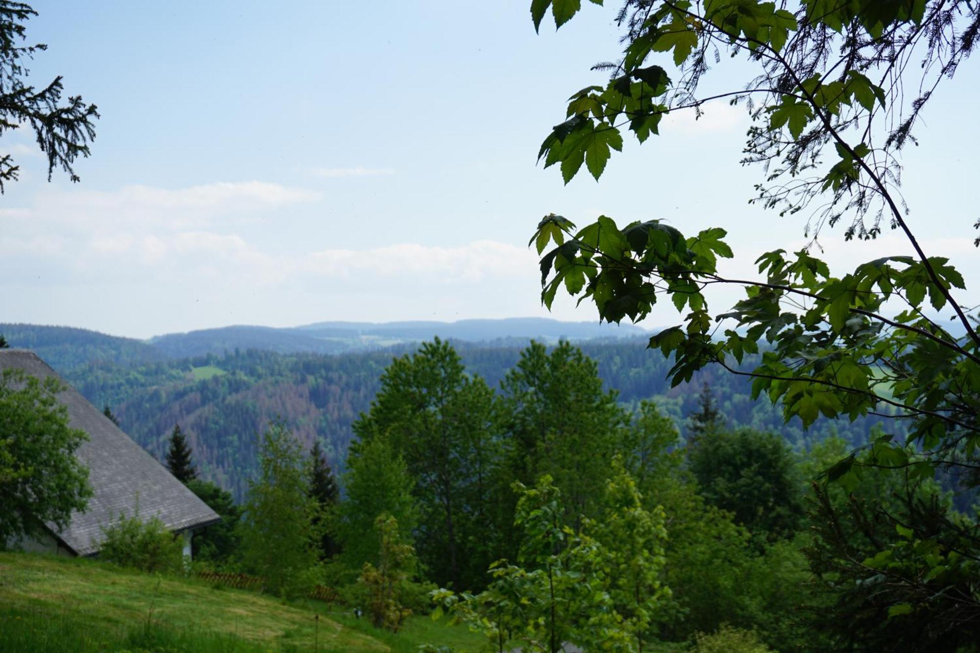 Kurparkhotel Faisst Bad Peterstal-Griesbach Luaran gambar
