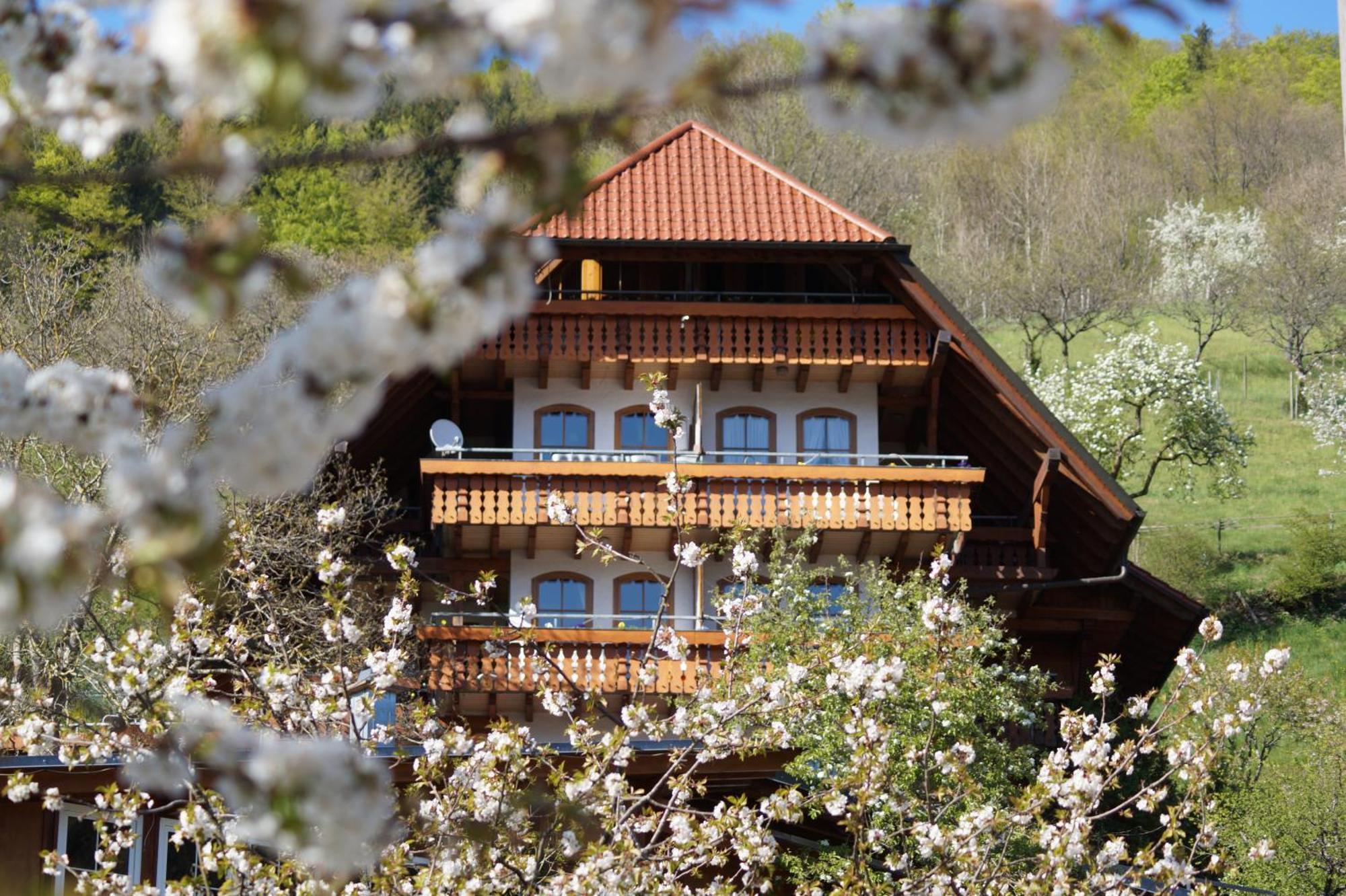 Kurparkhotel Faisst Bad Peterstal-Griesbach Luaran gambar