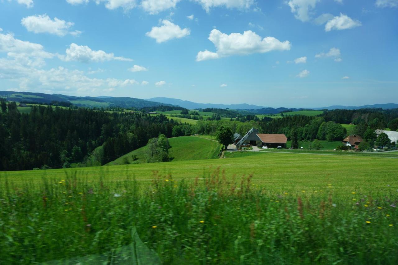 Kurparkhotel Faisst Bad Peterstal-Griesbach Luaran gambar