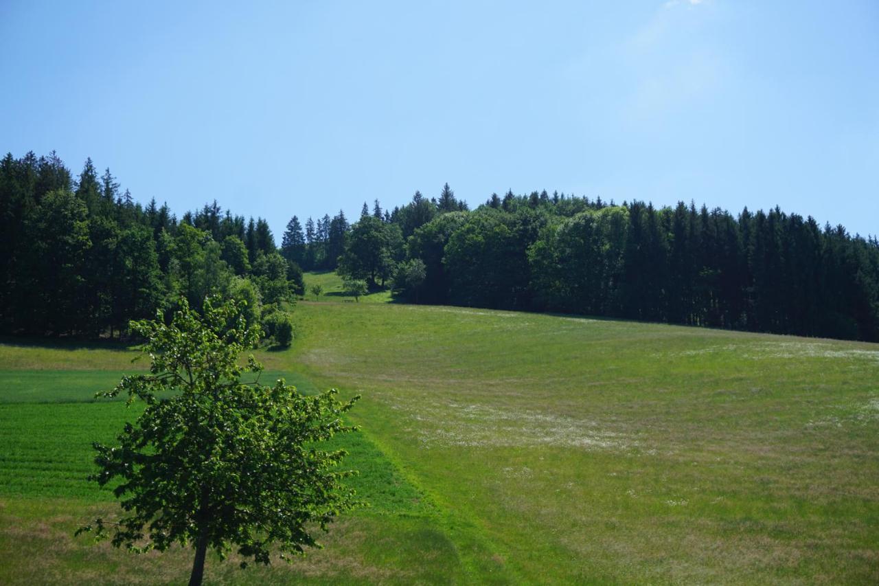 Kurparkhotel Faisst Bad Peterstal-Griesbach Luaran gambar