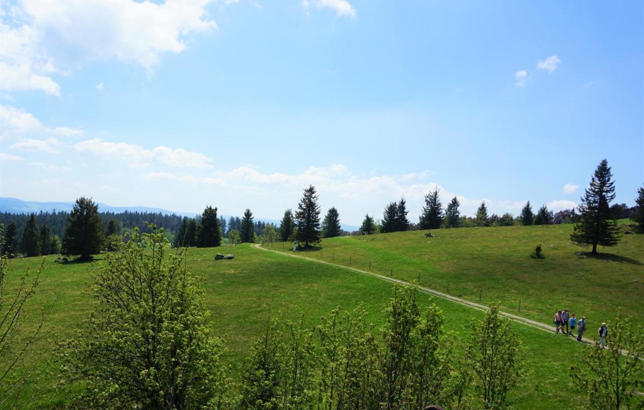Kurparkhotel Faisst Bad Peterstal-Griesbach Luaran gambar