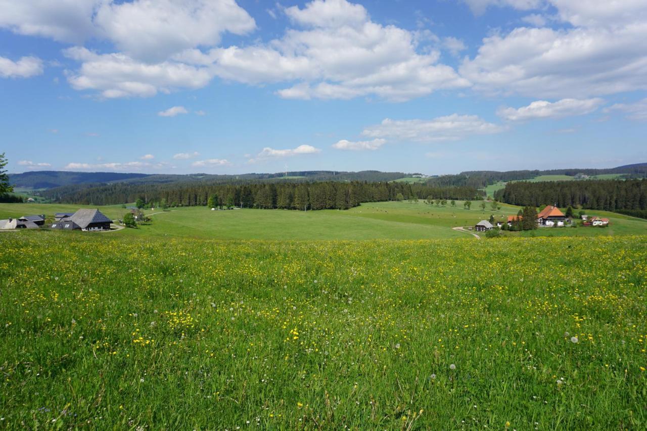 Kurparkhotel Faisst Bad Peterstal-Griesbach Luaran gambar